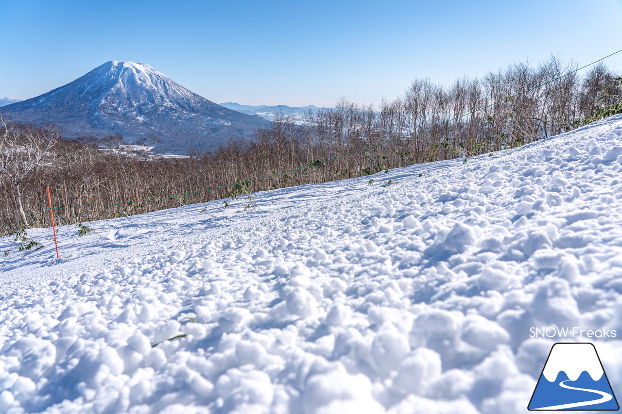 ニセコ東急グラン・ヒラフ｜標高1,000ｍの別世界。最高の青空に恵まれて、羊蹄山も丸見え、感動級の大パノラマ！